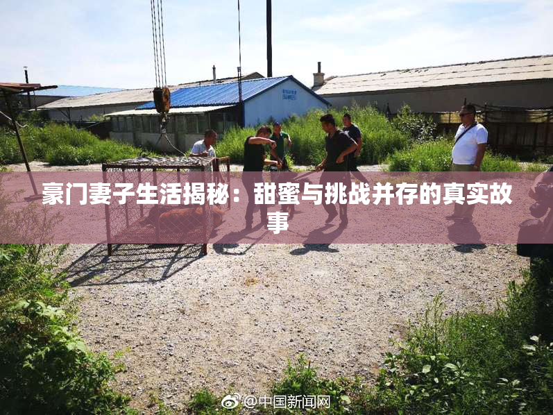 豪门妻子生活揭秘：甜蜜与挑战并存的真实故事