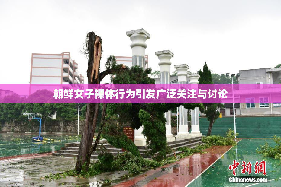 朝鲜女子裸体行为引发广泛关注与讨论