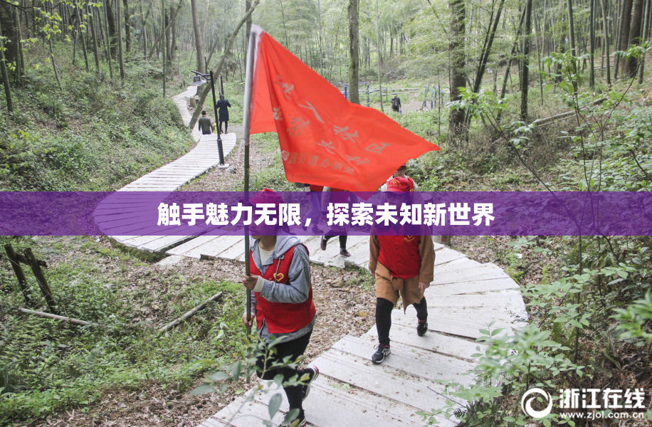 触手魅力无限，探索未知新世界