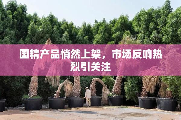 国精产品悄然上架，市场反响热烈引关注