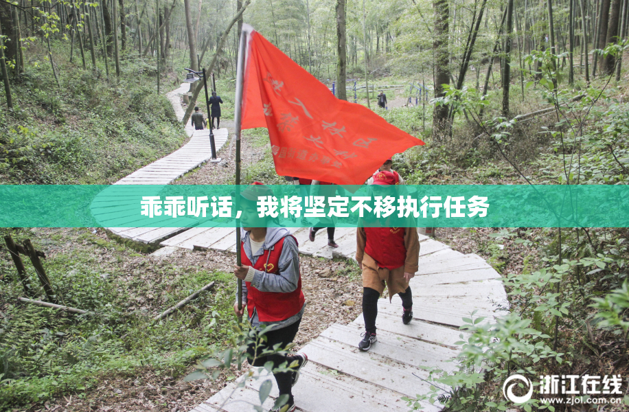 乖乖听话，我将坚定不移执行任务
