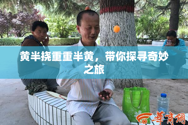 黄半挠重重半黄，带你探寻奇妙之旅