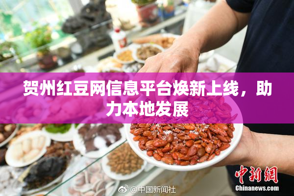贺州红豆网信息平台焕新上线，助力本地发展