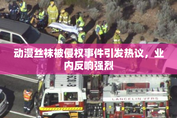 动漫丝袜被侵权事件引发热议，业内反响强烈