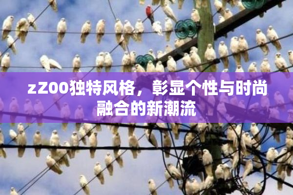 zZ00独特风格，彰显个性与时尚融合的新潮流