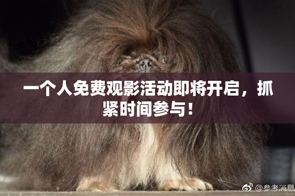 一个人免费观影活动即将开启，抓紧时间参与！