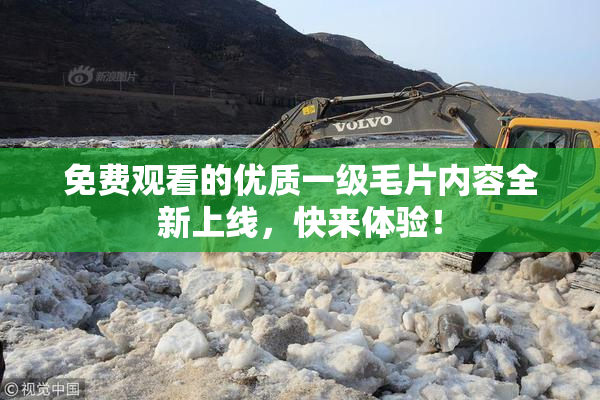 免费观看的优质一级毛片内容全新上线，快来体验！