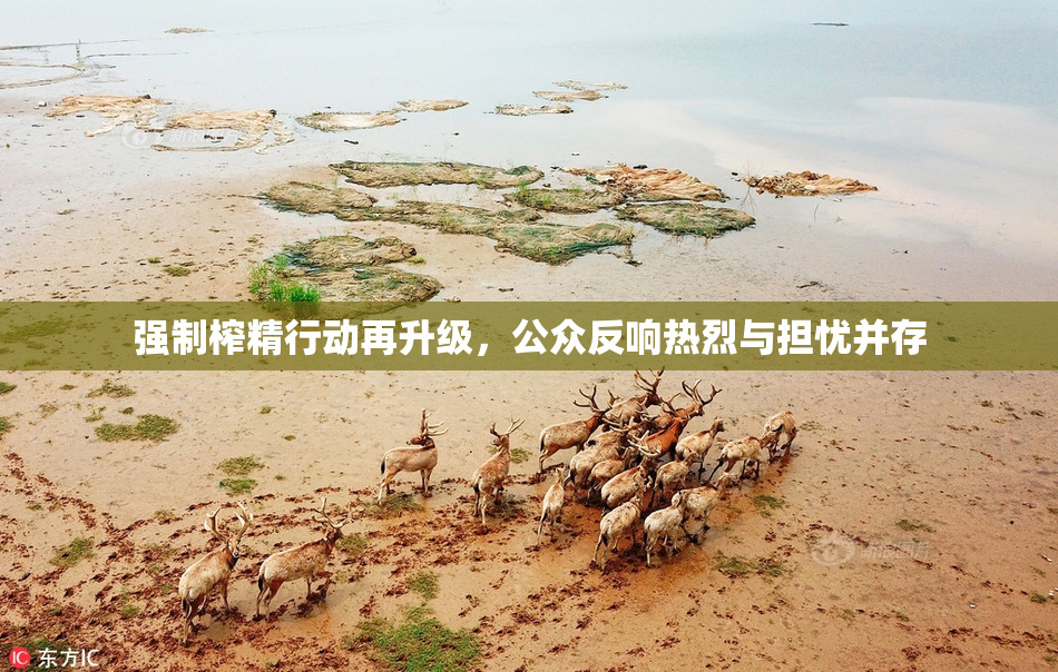 强制榨精行动再升级，公众反响热烈与担忧并存