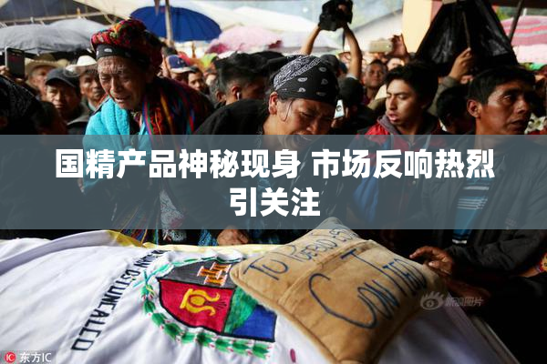 国精产品神秘现身 市场反响热烈引关注