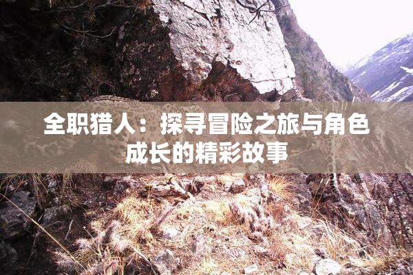 全职猎人：探寻冒险之旅与角色成长的精彩故事