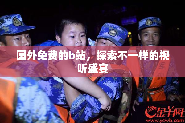 国外免费的b站，探索不一样的视听盛宴