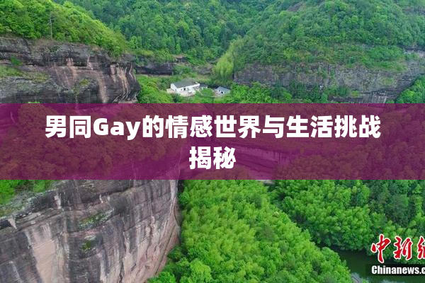 男同Gay的情感世界与生活挑战揭秘