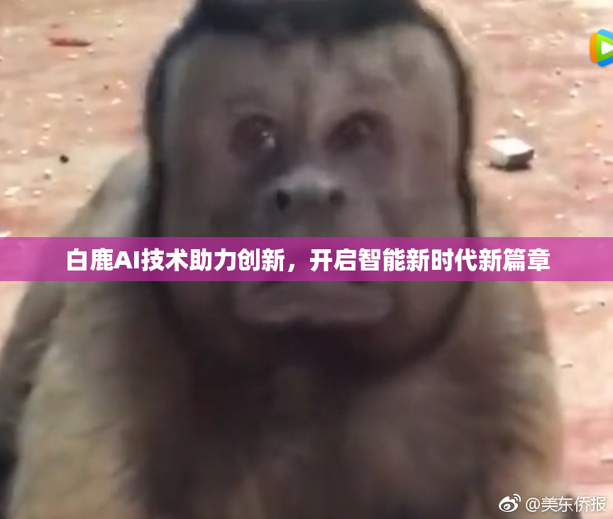 白鹿AI技术助力创新，开启智能新时代新篇章