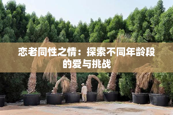 恋老同性之情：探索不同年龄段的爱与挑战