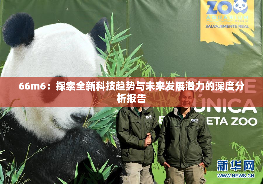 66m6：探索全新科技趋势与未来发展潜力的深度分析报告