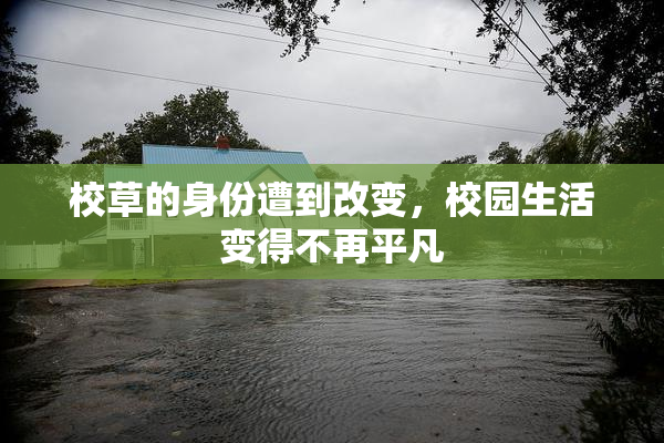 校草的身份遭到改变，校园生活变得不再平凡
