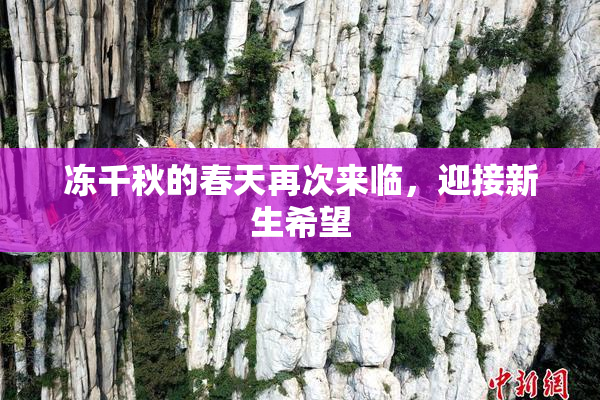 冻千秋的春天再次来临，迎接新生希望