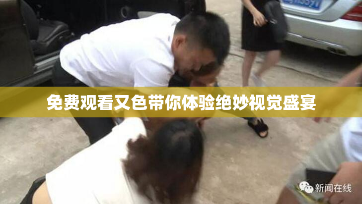 免费观看又色带你体验绝妙视觉盛宴