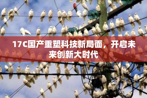 17C国产重塑科技新局面，开启未来创新大时代