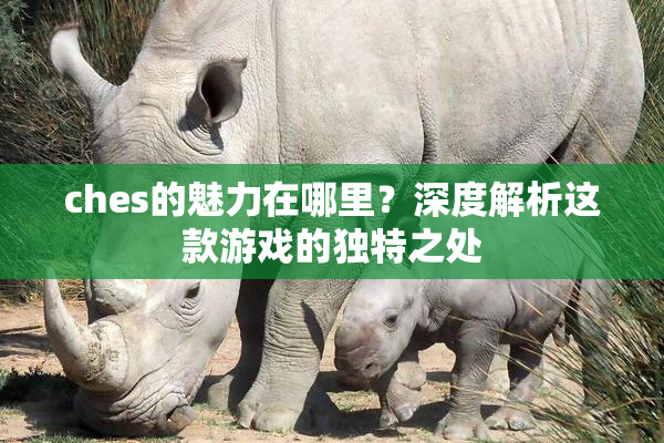 ches的魅力在哪里？深度解析这款游戏的独特之处