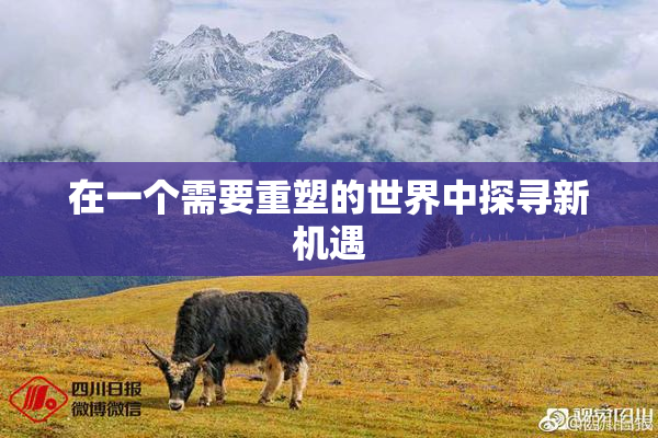 在一个需要重塑的世界中探寻新机遇