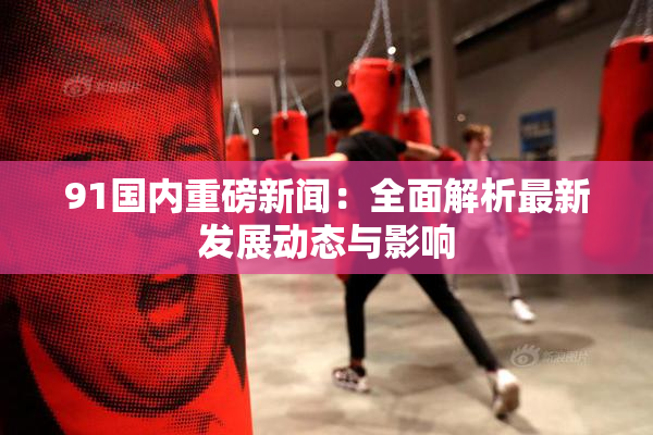 91国内重磅新闻：全面解析最新发展动态与影响
