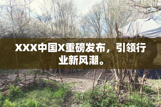 XXX中国X重磅发布，引领行业新风潮。