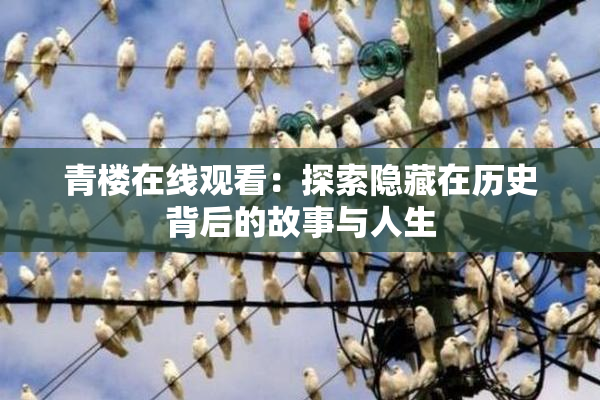 青楼在线观看：探索隐藏在历史背后的故事与人生