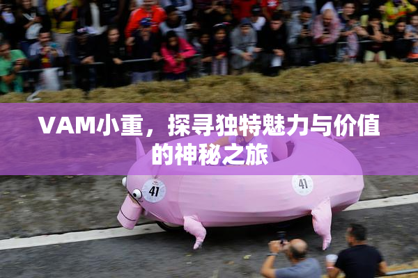 VAM小重，探寻独特魅力与价值的神秘之旅