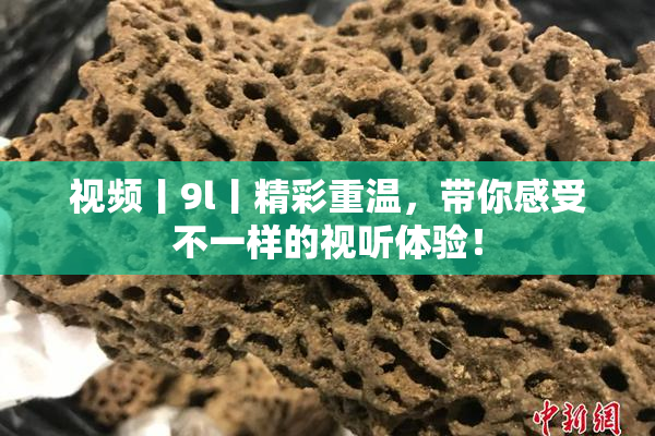 视频丨9l丨精彩重温，带你感受不一样的视听体验！