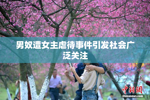 男奴遭女主虐待事件引发社会广泛关注