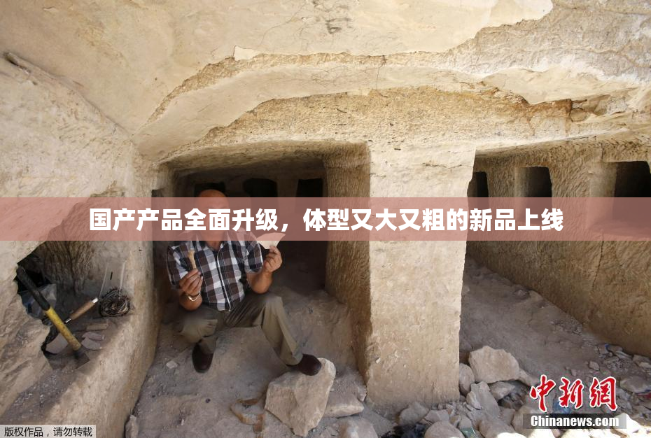 国产产品全面升级，体型又大又粗的新品上线