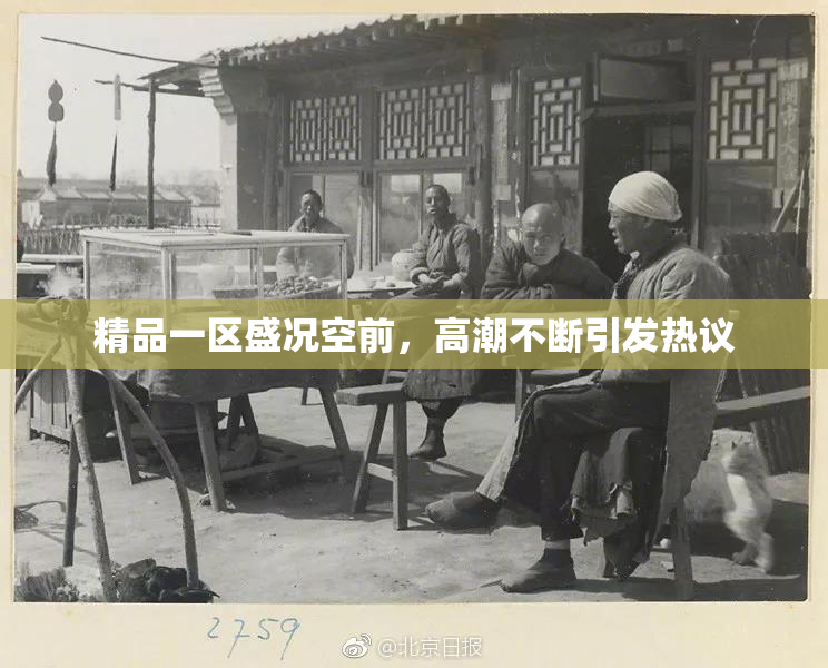 精品一区盛况空前，高潮不断引发热议