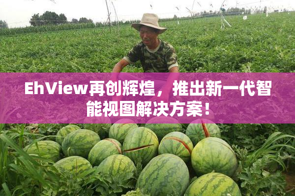 EhView再创辉煌，推出新一代智能视图解决方案！