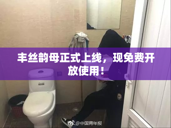 丰丝韵母正式上线，现免费开放使用！