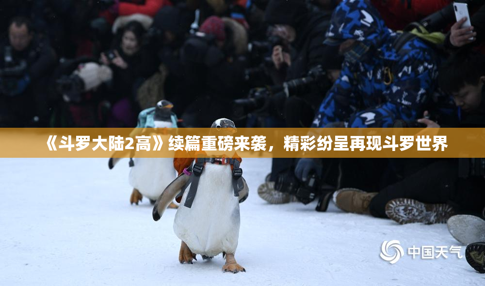 《斗罗大陆2高》续篇重磅来袭，精彩纷呈再现斗罗世界