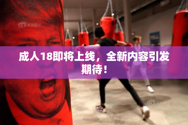 成人18即将上线，全新内容引发期待！