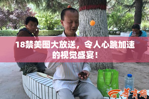18禁美图大放送，令人心跳加速的视觉盛宴！