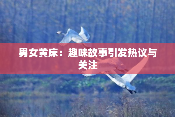 男女黄床：趣味故事引发热议与关注