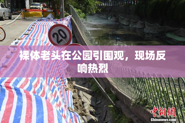 裸体老头在公园引围观，现场反响热烈