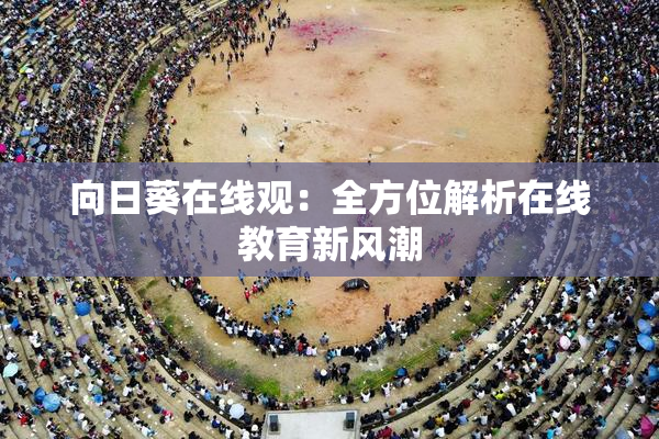 向日葵在线观：全方位解析在线教育新风潮