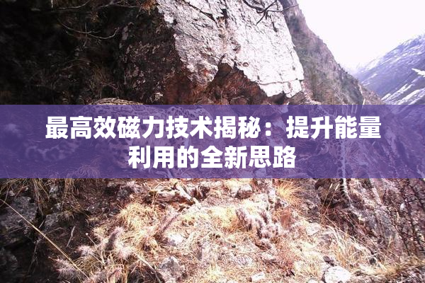 最高效磁力技术揭秘：提升能量利用的全新思路