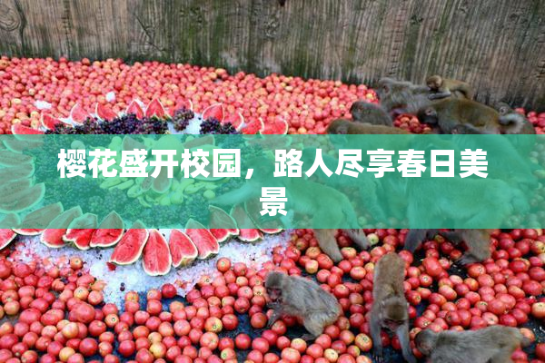 樱花盛开校园，路人尽享春日美景