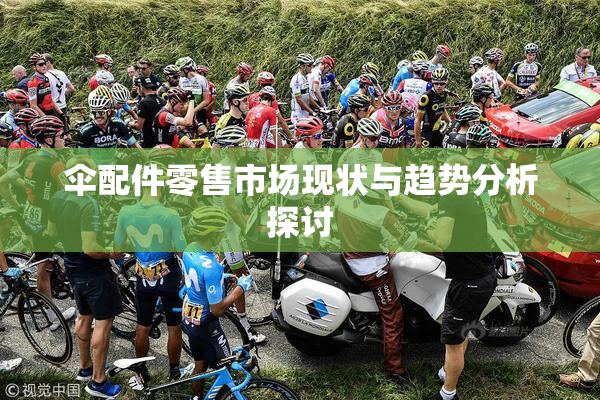 伞配件零售市场现状与趋势分析探讨
