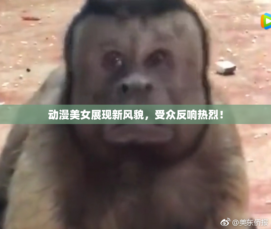 动漫美女展现新风貌，受众反响热烈！