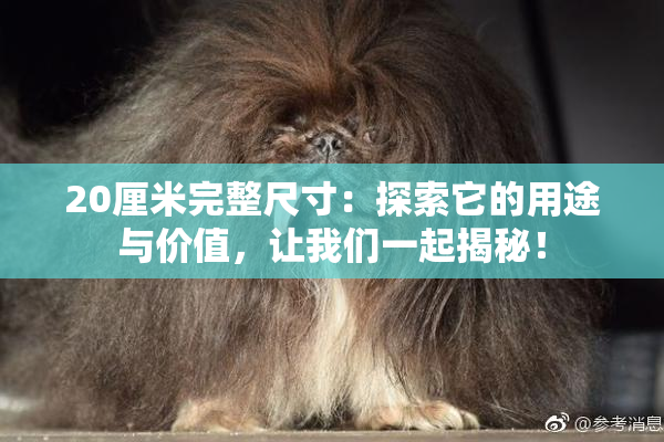 20厘米完整尺寸：探索它的用途与价值，让我们一起揭秘！