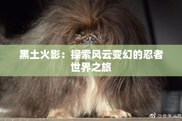 黑土火影：探索风云变幻的忍者世界之旅