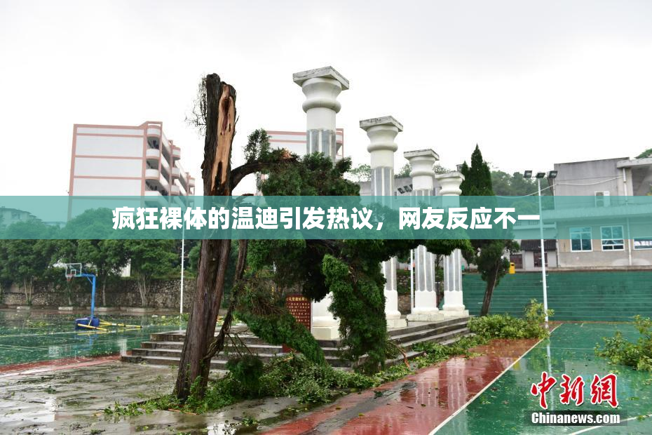 疯狂裸体的温迪引发热议，网友反应不一