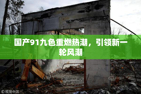 国产91九色重燃热潮，引领新一轮风潮