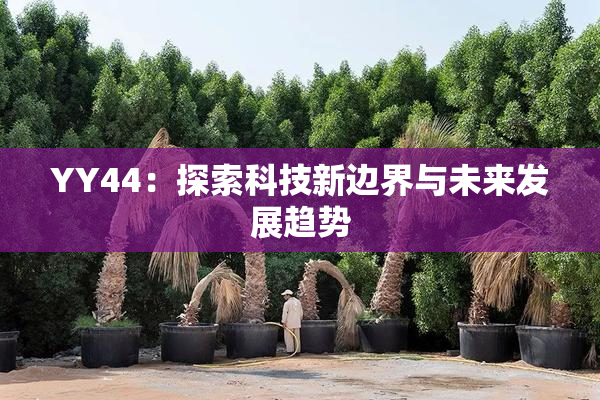 YY44：探索科技新边界与未来发展趋势
